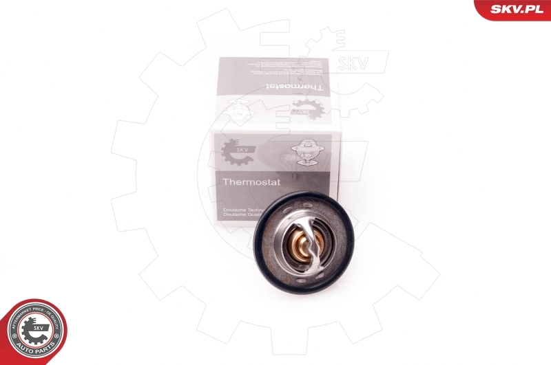 Thermostat, coolant